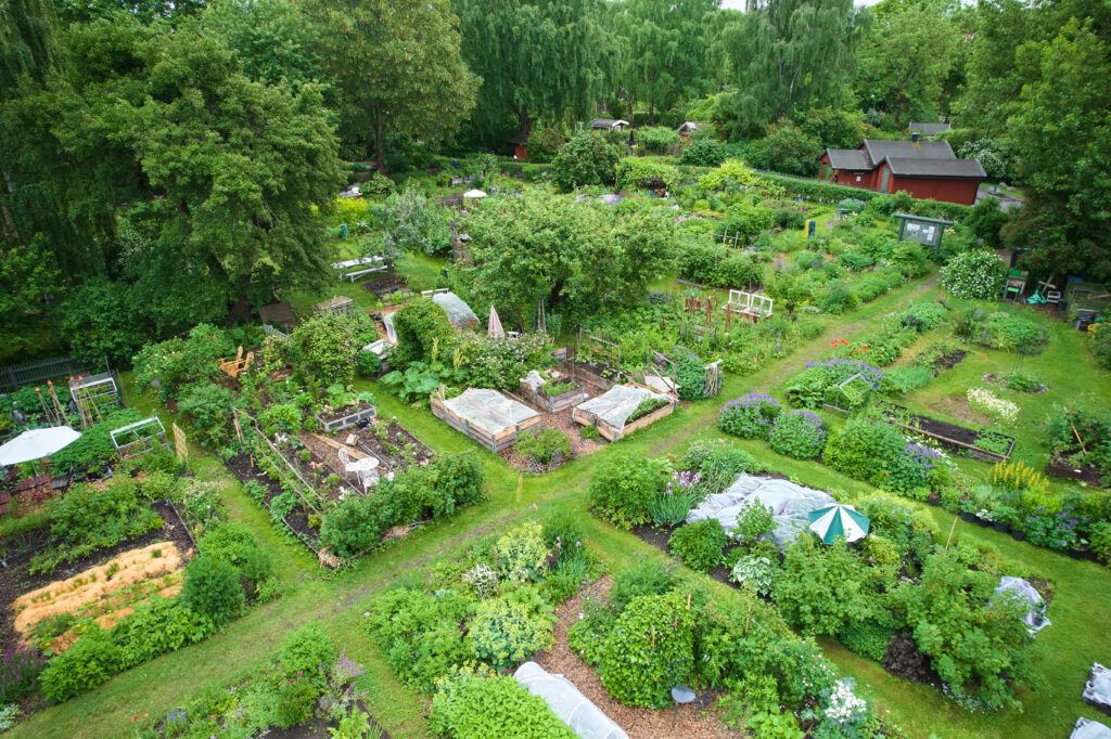 Lotter Långholmen